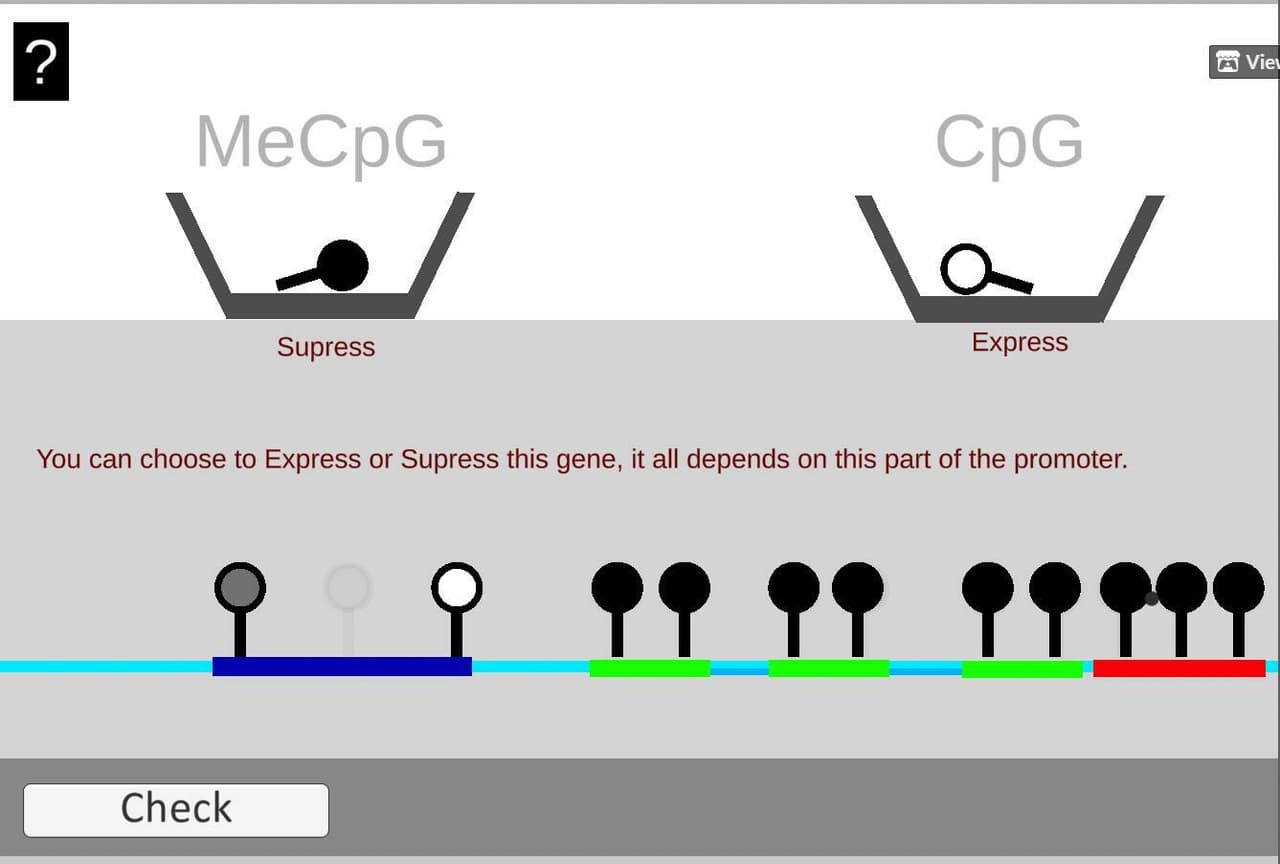 Epigenigma screenshot 3