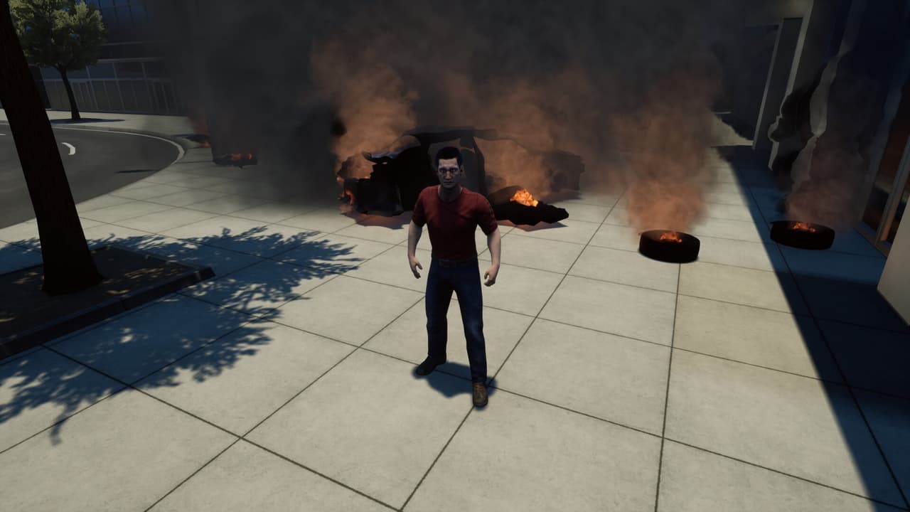 CRASH TEST IDIOT
