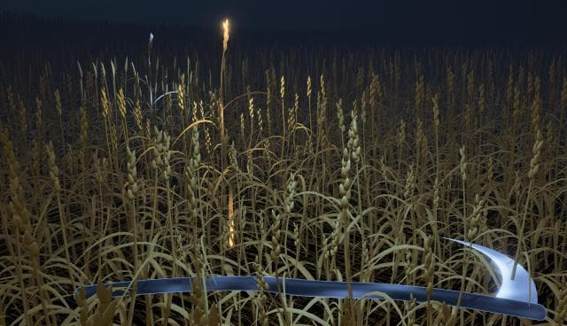 Last Harvest (noah)