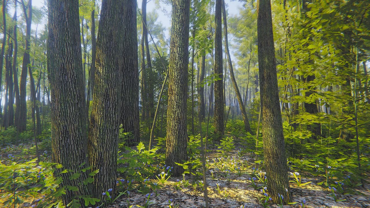 Mindfulness Simulator - ASMR Meditation Game