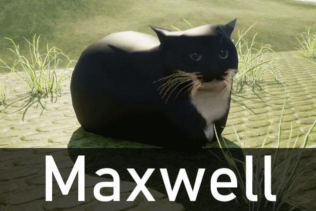 Maxwell (My first project made in UE)
