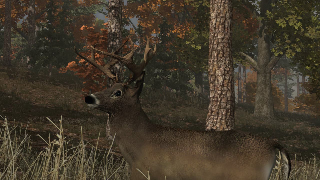 Deer Simulator