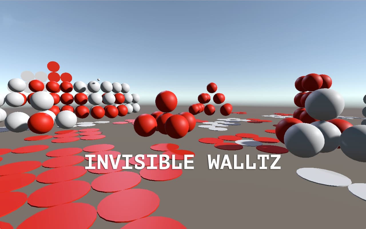InvisibleWaltz