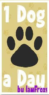 1 Day a Dog