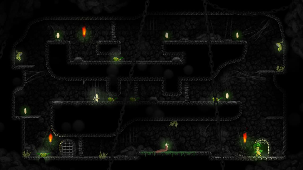 Courgettes & Seeds screenshot 3