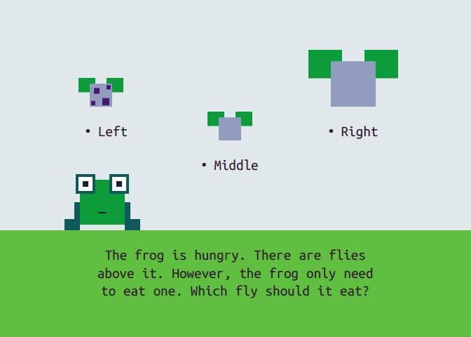 Frogs Adventure to Home