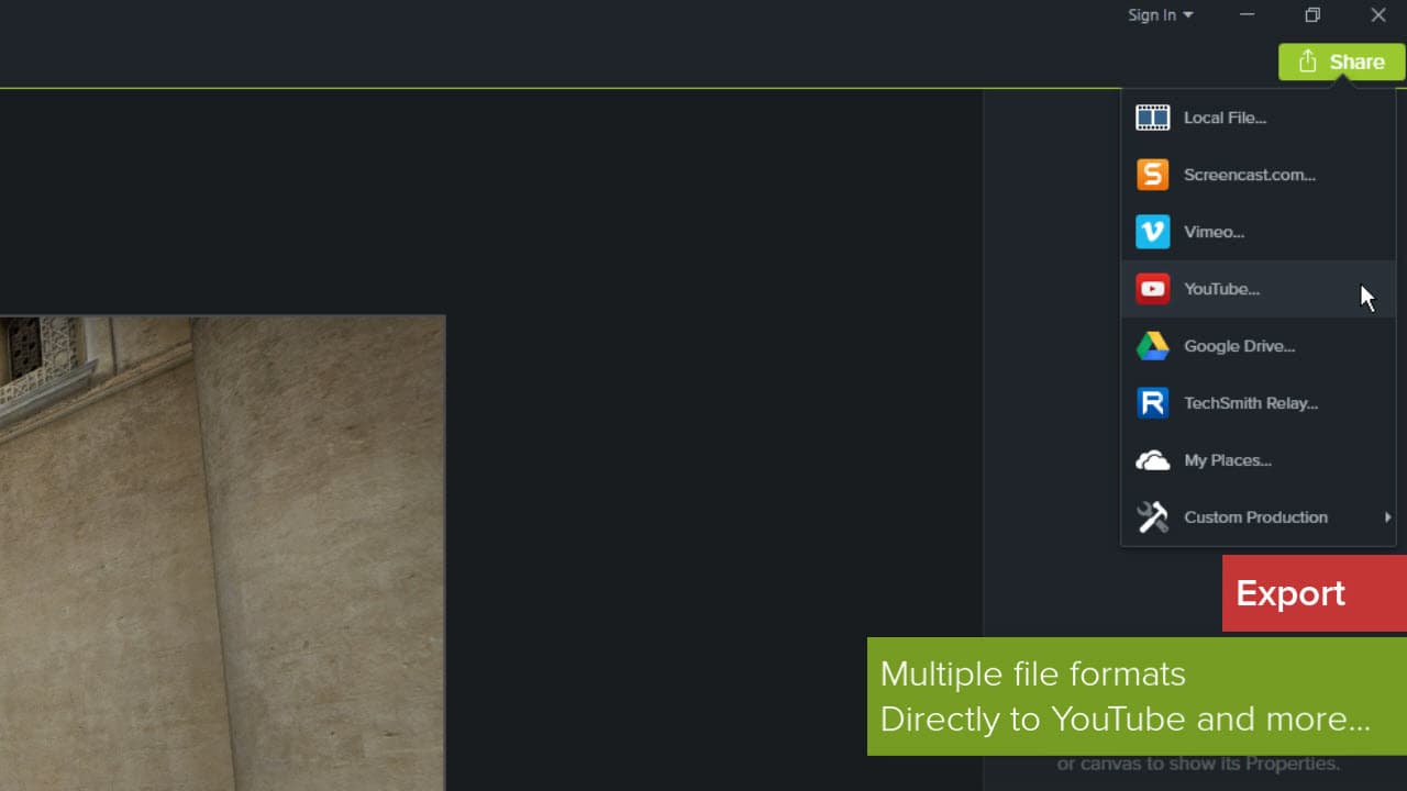 Camtasia - Subscription