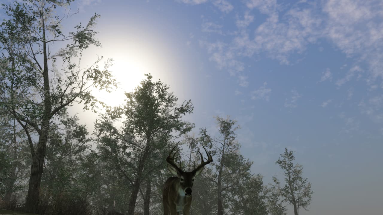 Pro Deer Hunting 2 screenshot 5