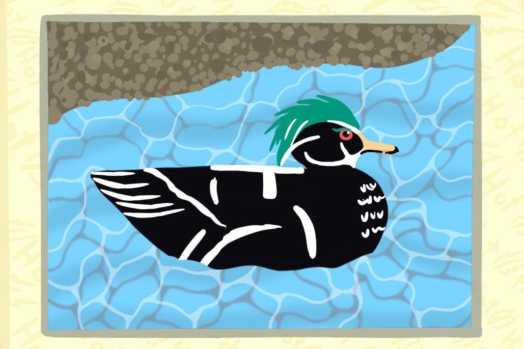 Birder screenshot 4