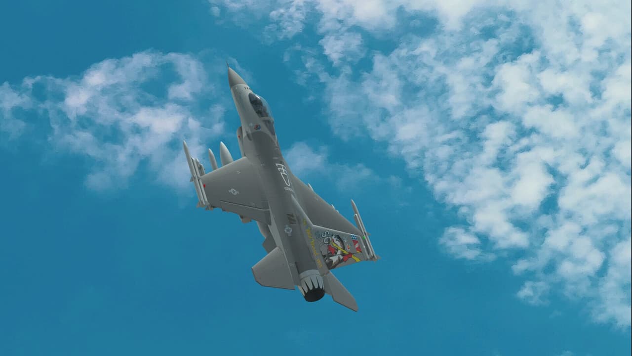 RealFlight Evolution screenshot 3
