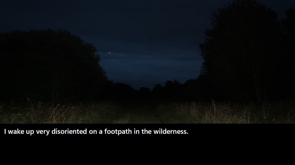 Gangrel screenshot 3