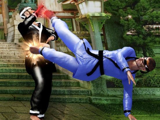 Karate Fighting Art - Kung Fu Ninja Tiger actions