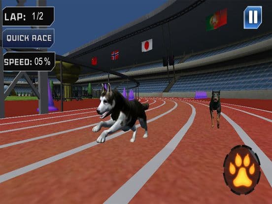 Extreme Crazy Dog Race 3D 2018 screenshot 2