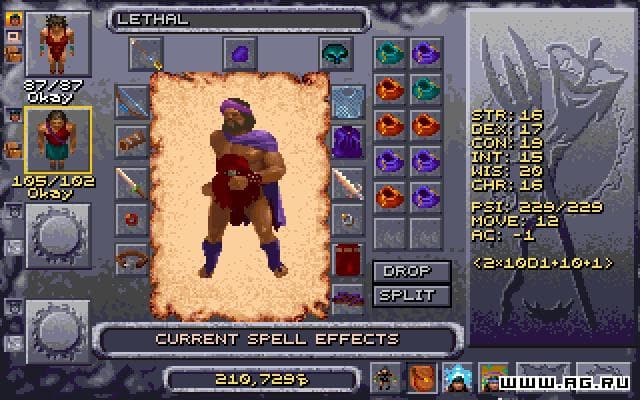 Dark Sun Online: Crimson Sands screenshot 2