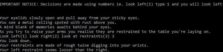 AsylemDemo screenshot 2