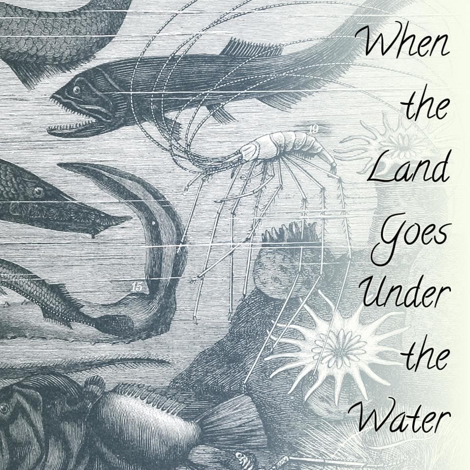 When the Land Goes Under the Water