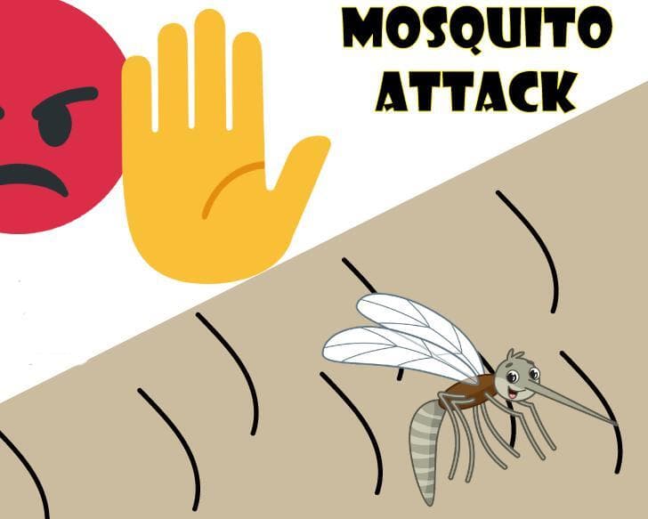 MOSQUITO ATTACK