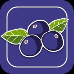Guardiões do Açaí