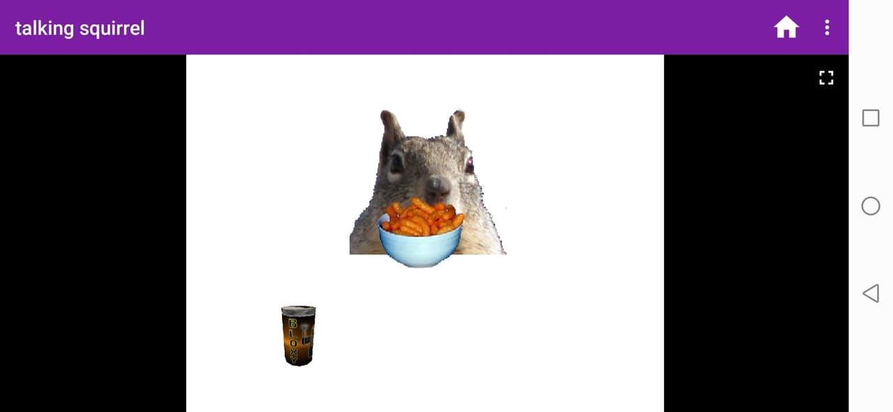Talking squirrel screenshot 4
