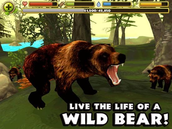 Wildlife Simulator: Bear screenshot 2