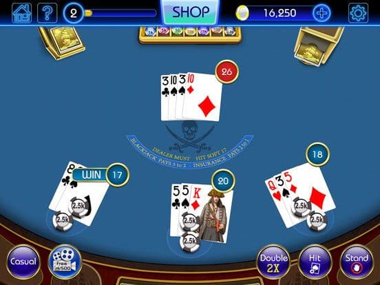 Blackjack-black jack 21 casino screenshot 4