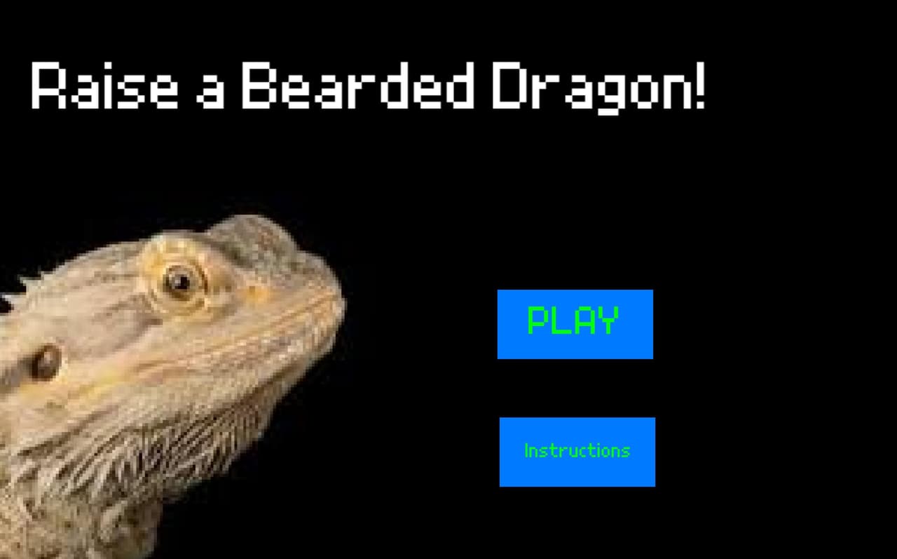 Raise a cute Bearded Dragon