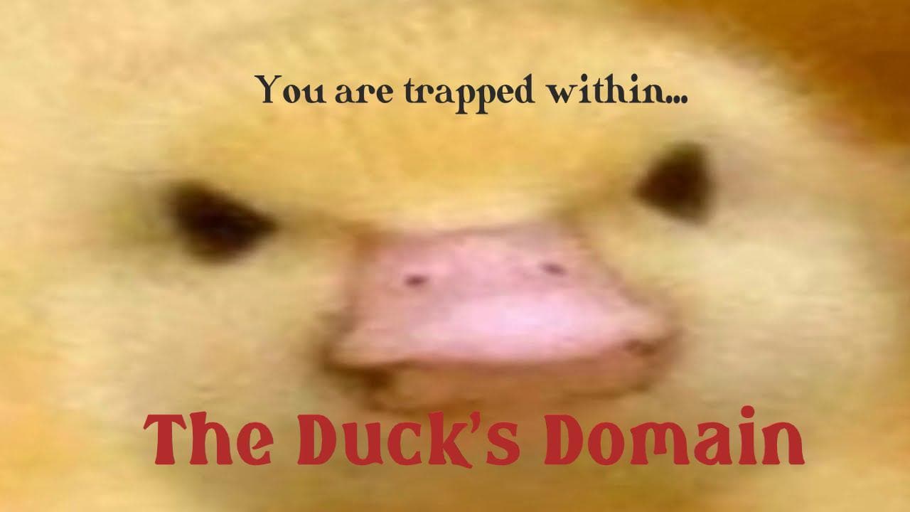 The Ducks Domain!