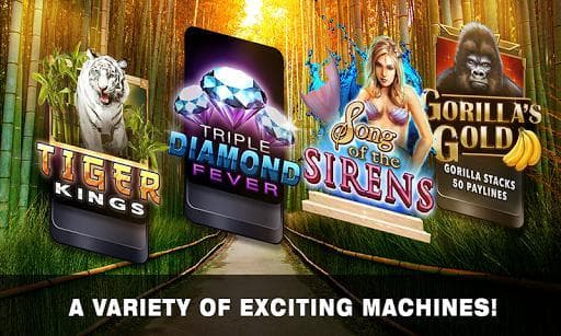 Slots Tiger King Casino Slots screenshot 4