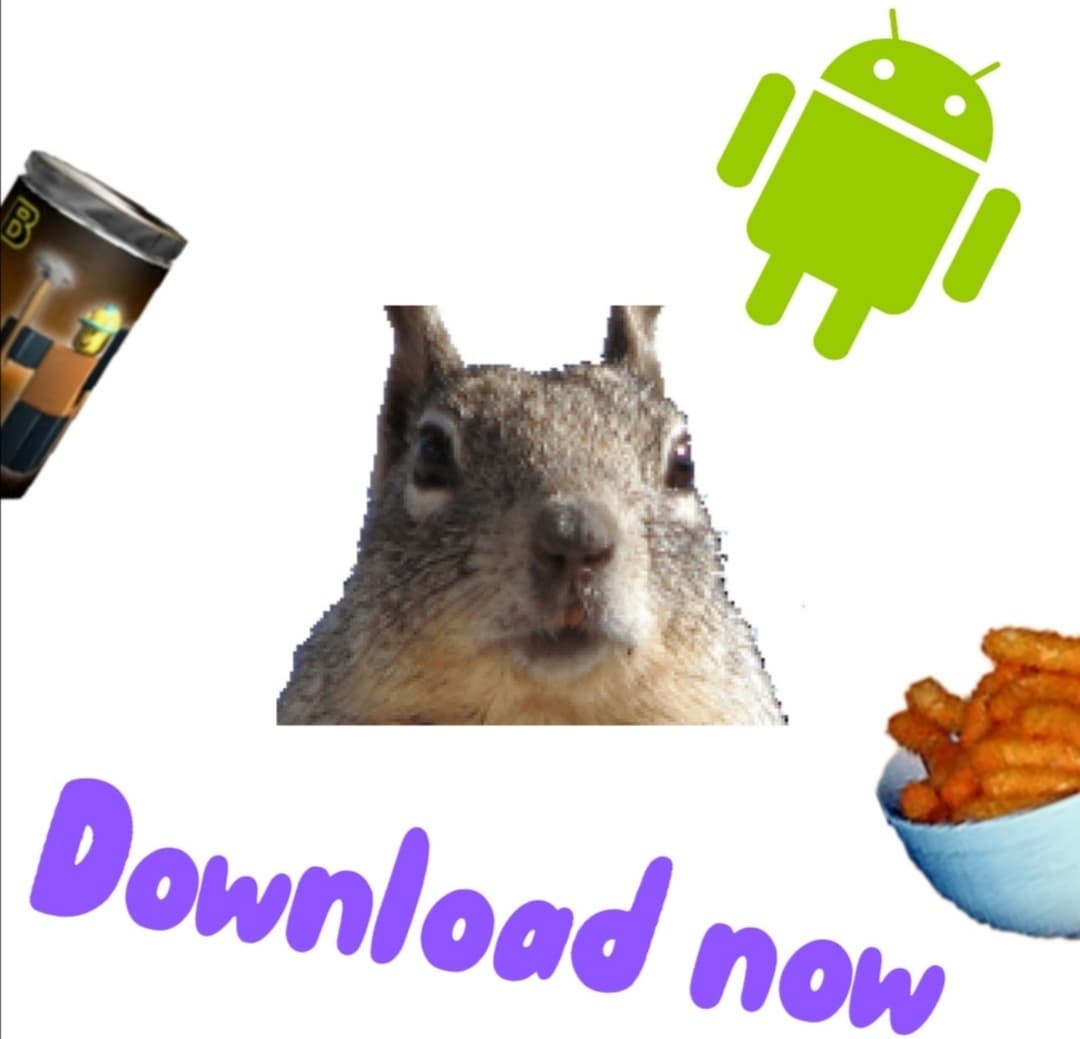 Talking squirrel screenshot 2