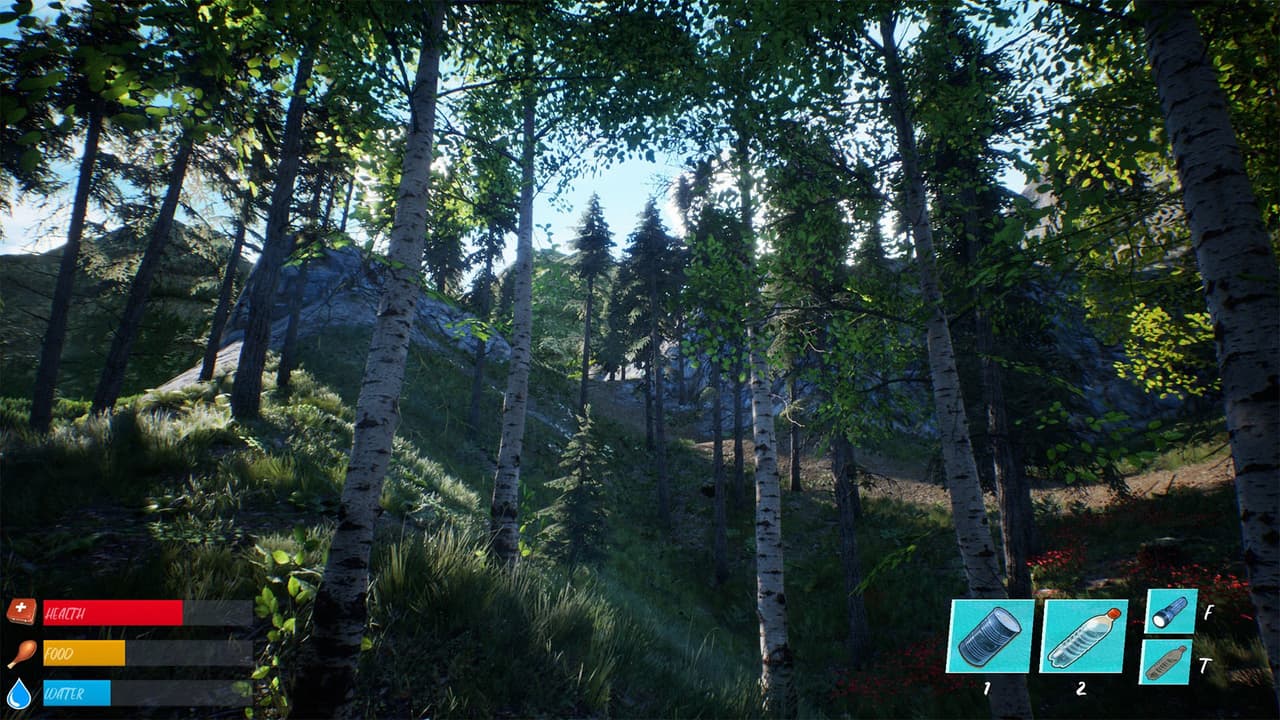 Soul Valley screenshot 5