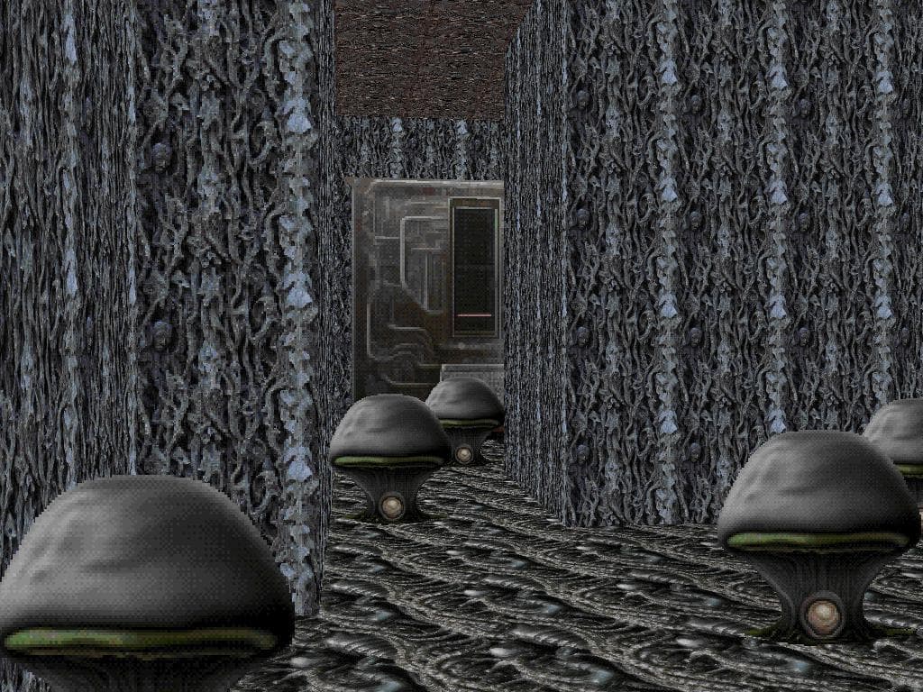 Celebration of Forgotten screenshot 3