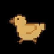 Duck In a Library