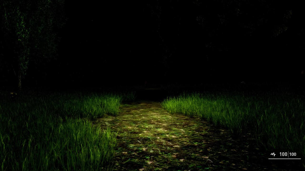 Alone Again: The Countryside screenshot 2