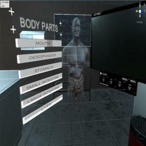 Biosimulation: Human Anatomy