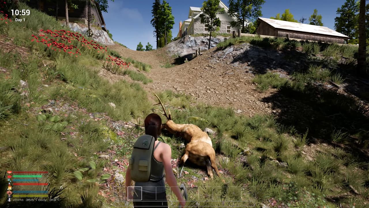Afandas Survival