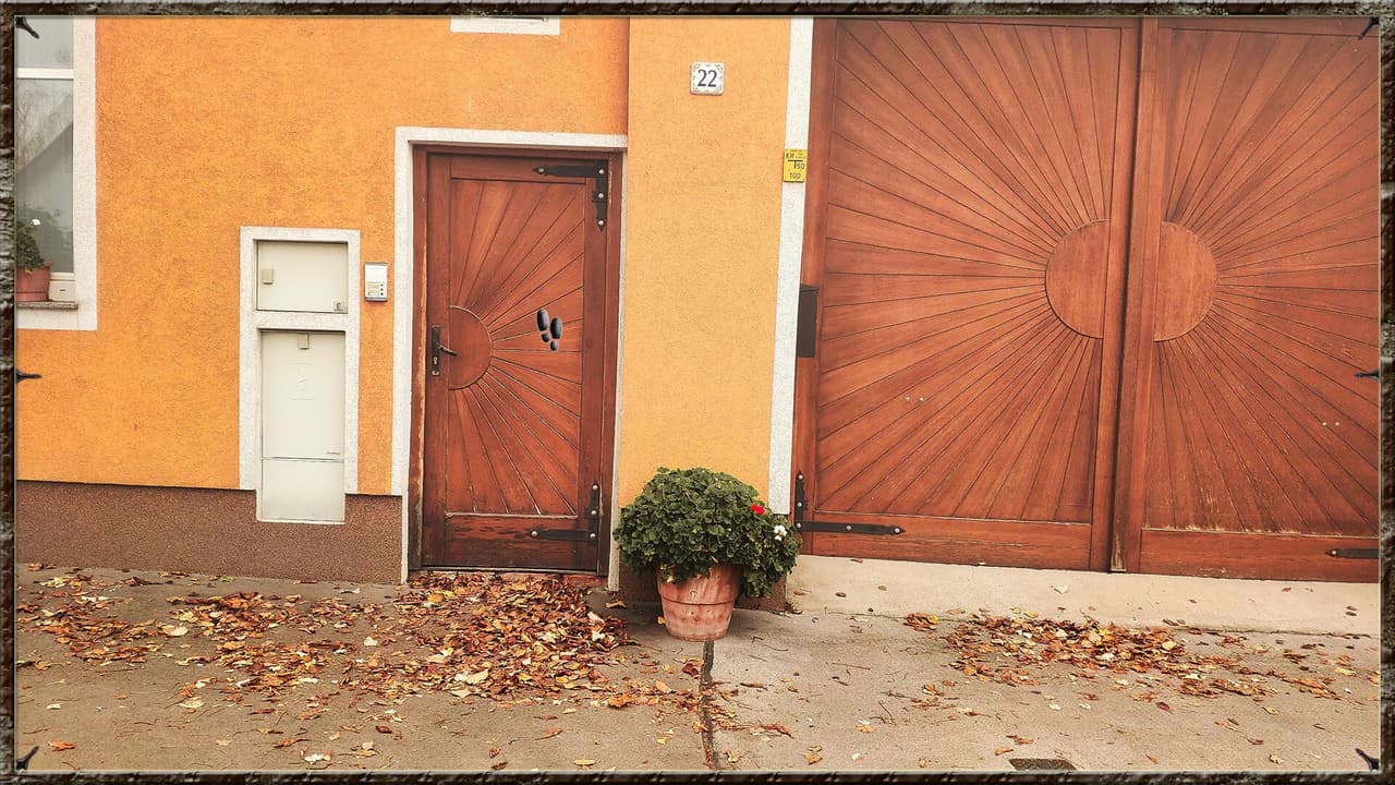 Markus Ritter - The Lost Family screenshot 6