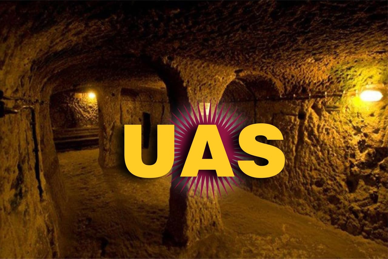 Under Arizona State