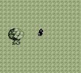 Catastrophe Crow! - GB Version