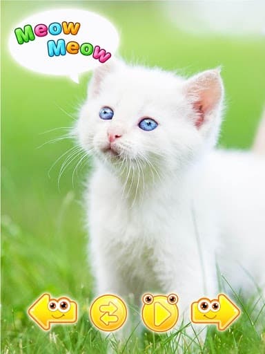 cute animal pictures & sounds screenshot 6