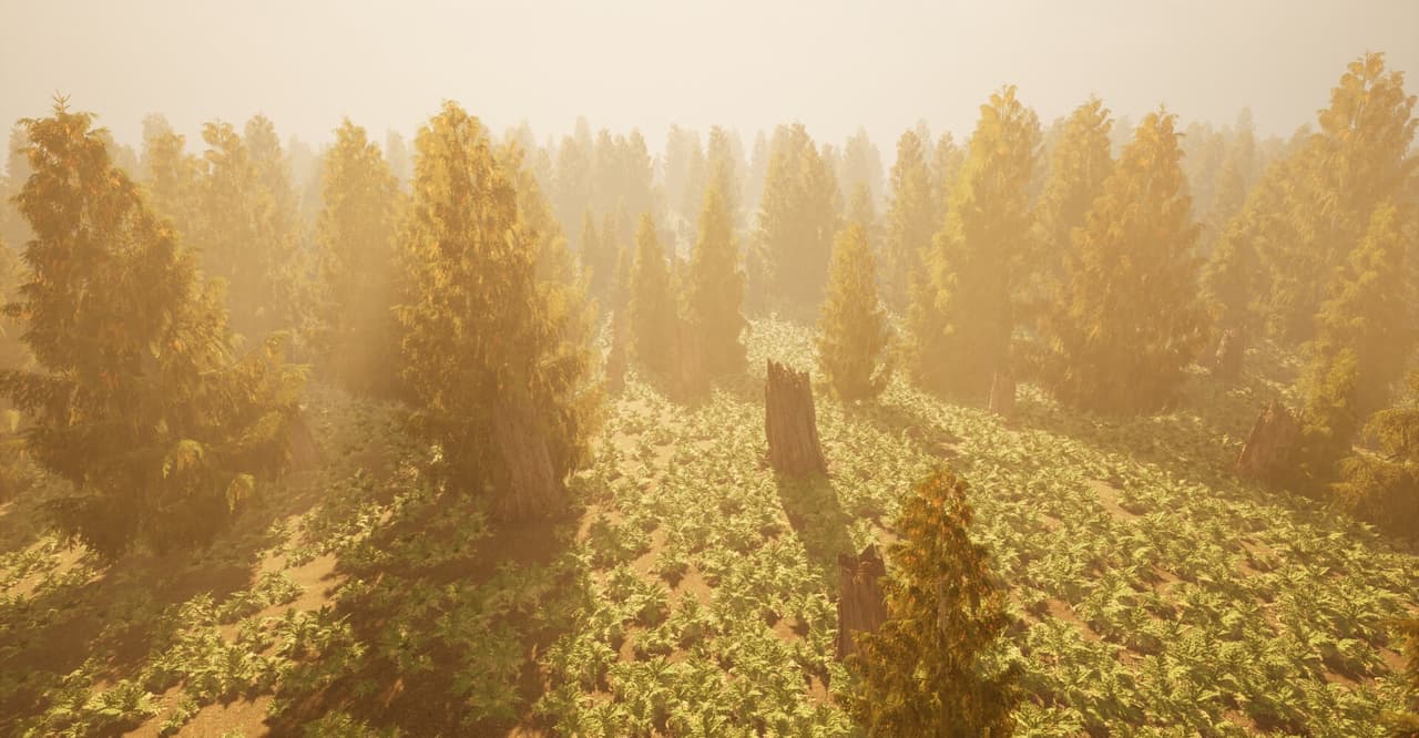 Nature Environment