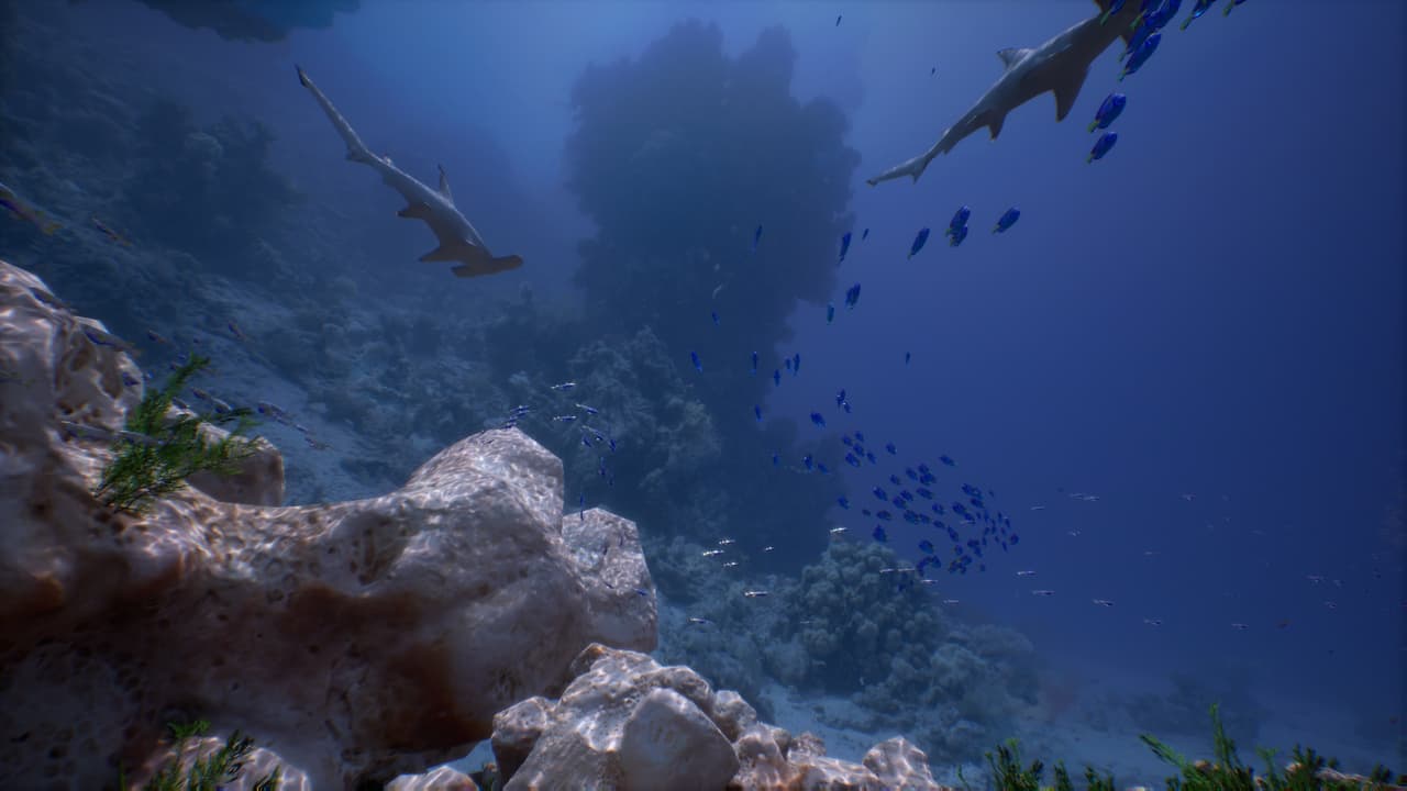 Simple-realistic Underwater VR screenshot 2