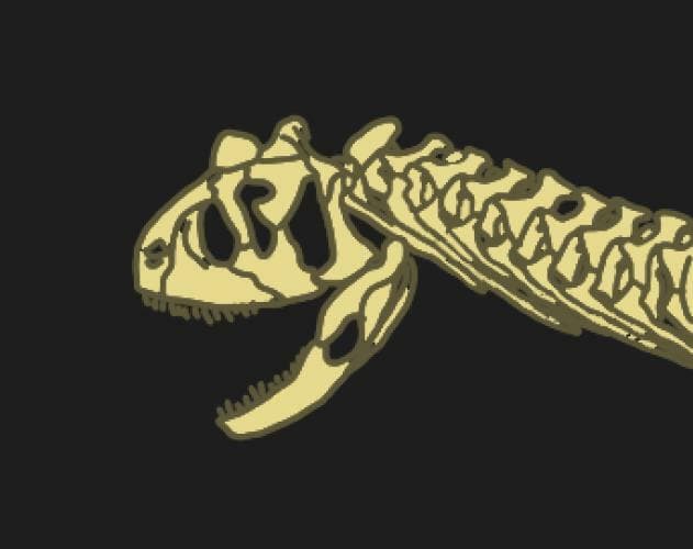 Prehistoric Puzzle