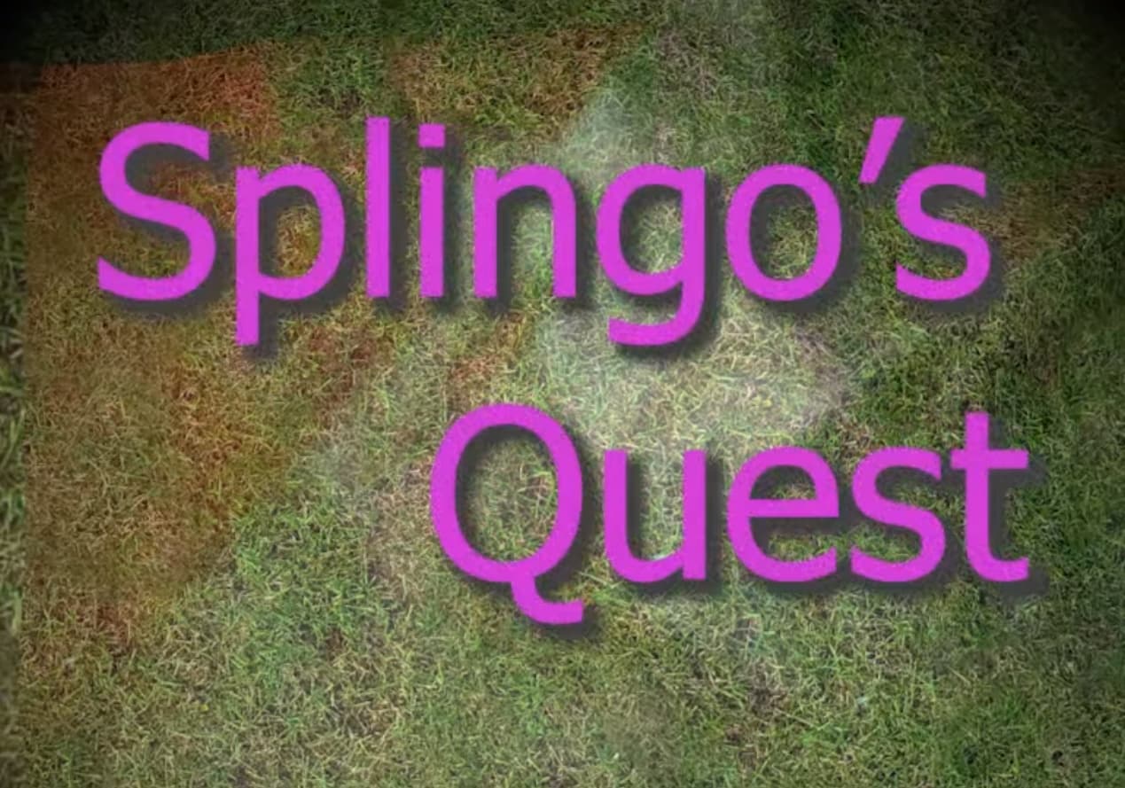 Splingos Quest