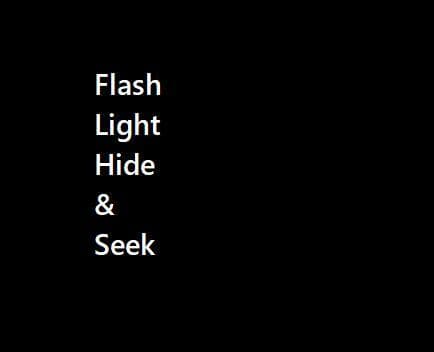 Flashlight Hide and Seek