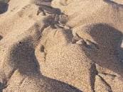 Grain