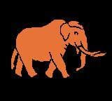 DATA MASTODON