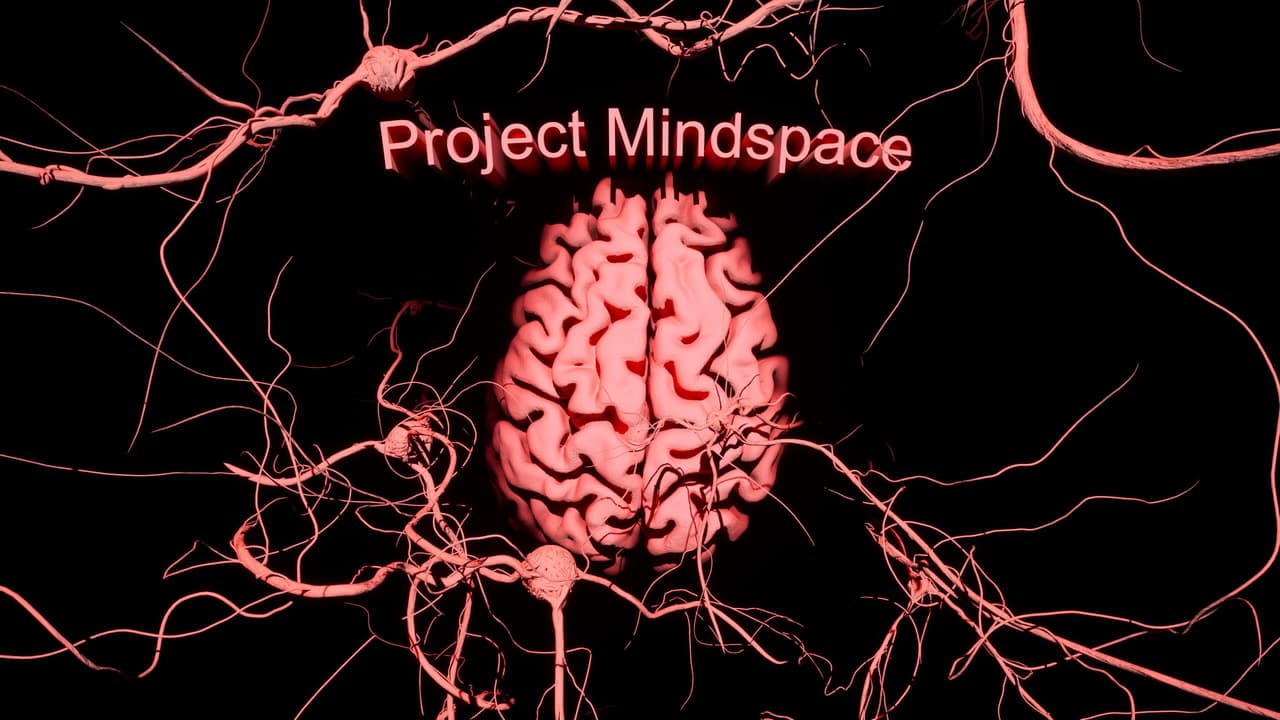 Project Mindspace screenshot 2