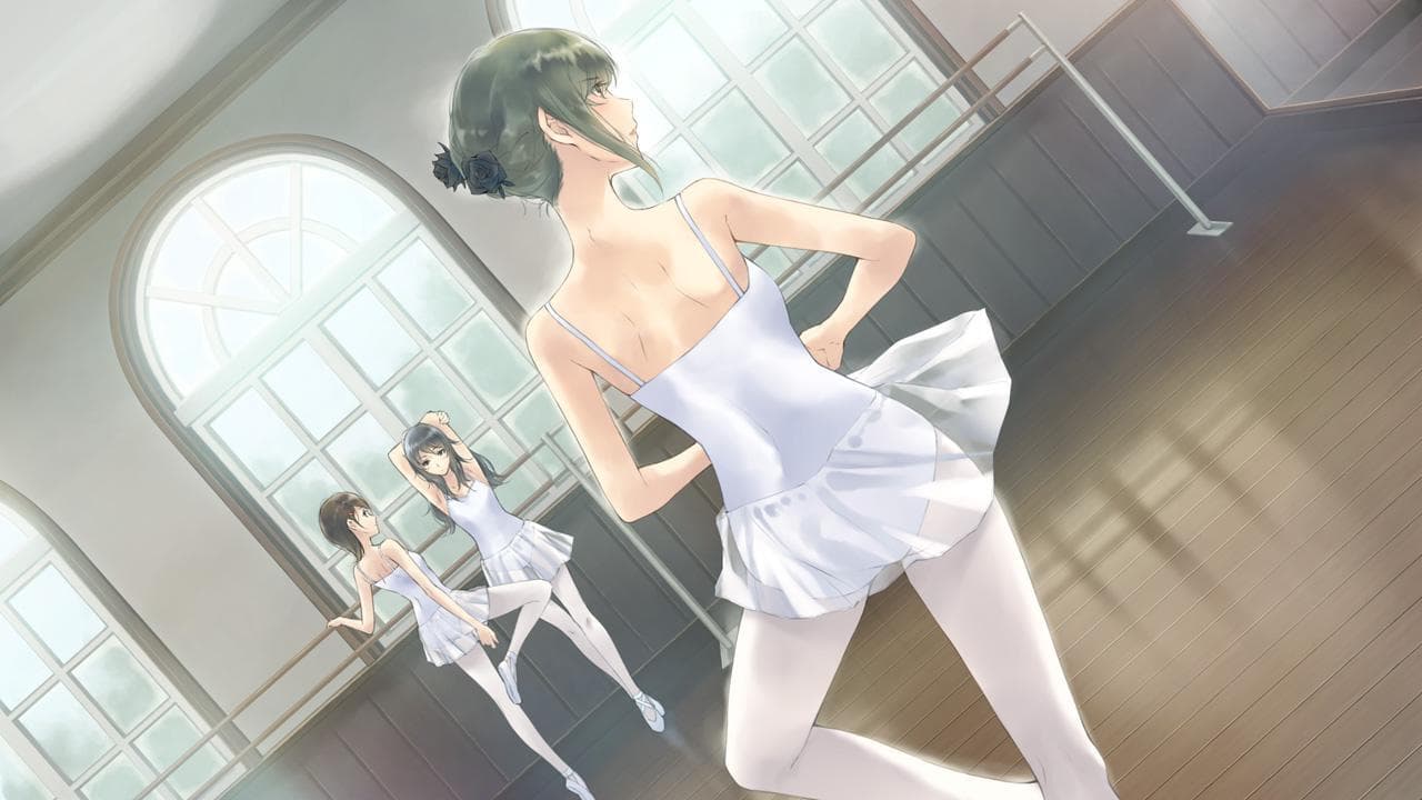 Flowers - Le Volume Sur Ete screenshot 2