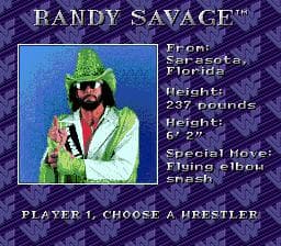 WWF Royal Rumble screenshot 4