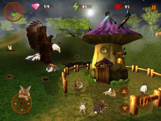 Life Of Golden Eagle